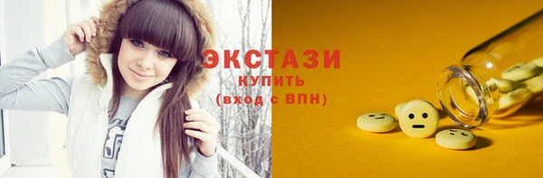 индика Елабуга