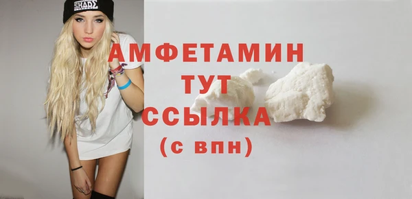 индика Елабуга