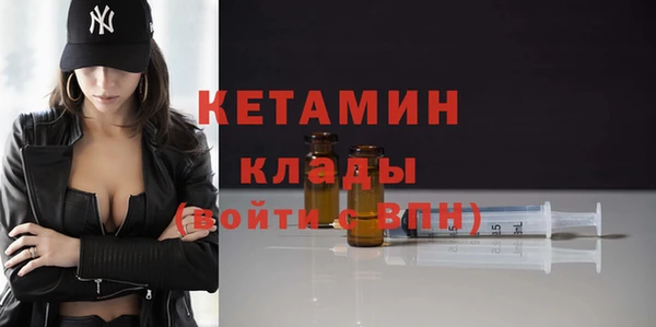индика Елабуга