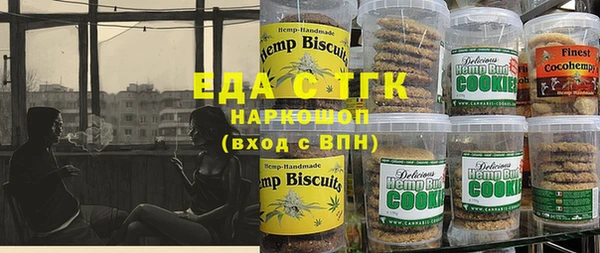 индика Елабуга