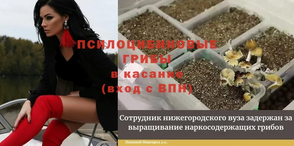 герыч Дмитров