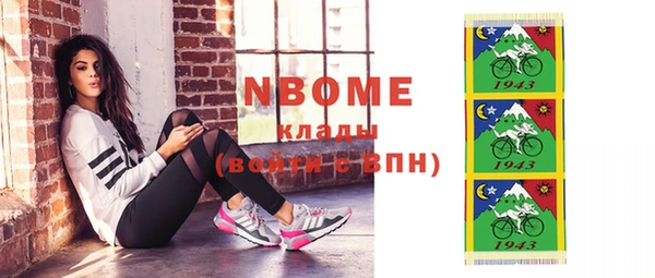 индика Елабуга