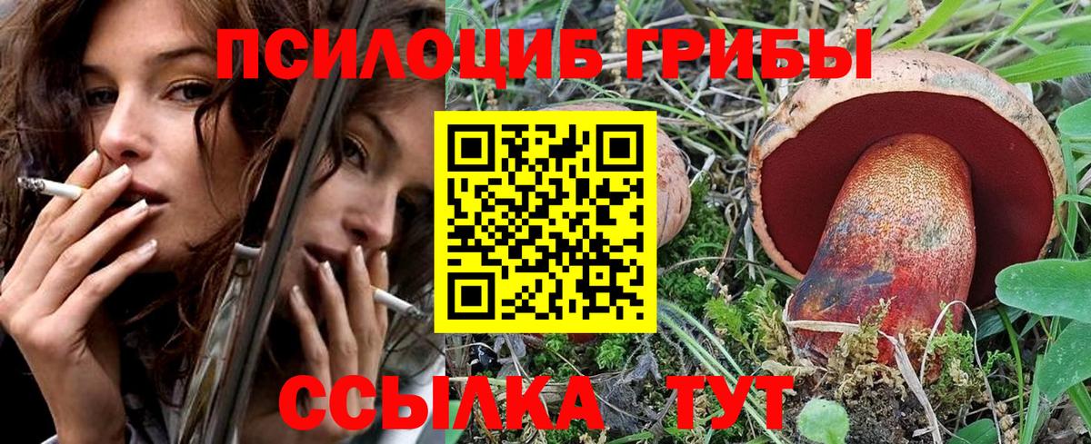 Галлюциногенные грибы MAGIC MUSHROOMS Звенигород