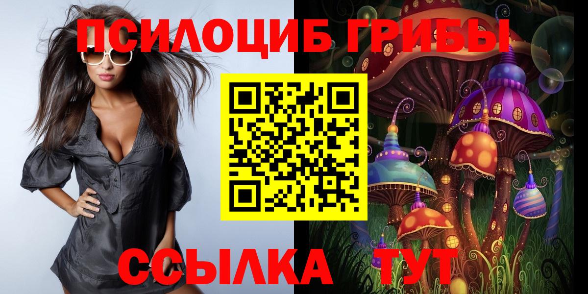 Галлюциногенные грибы Psilocybine cubensis  Звенигород 