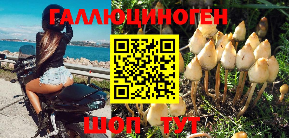 Псилоцибиновые грибы GOLDEN TEACHER Звенигород