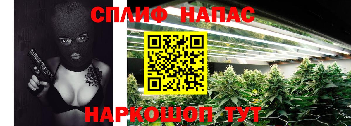 Каннабис Ganja Звенигород